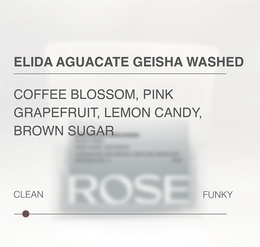 Elida Aguacate Washed Geisha tasting notes and processing scale