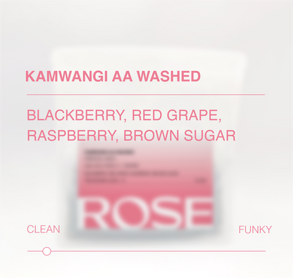 Kamwangi AA Washed